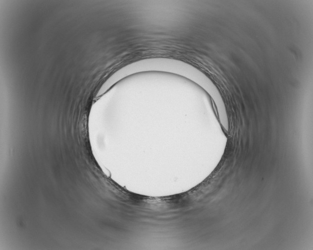 X0000111230425200908131126