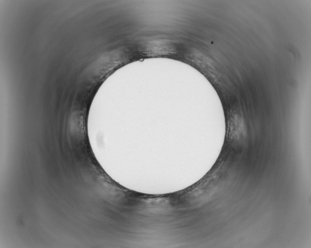 X0000111230426200908131126