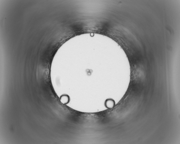 X0000111230427200908131126