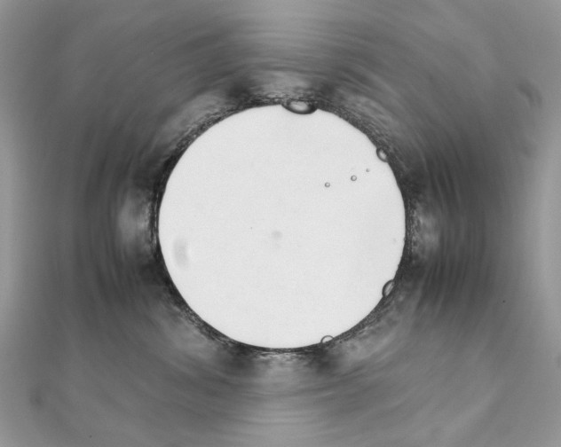 X0000111230428200908131126