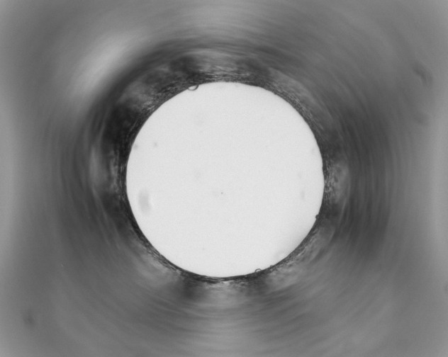 X0000111230430200908131126
