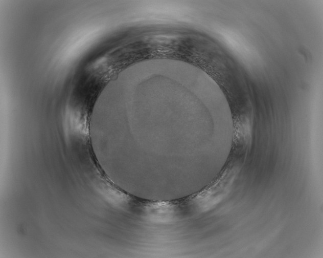 X0000111230431200908131126