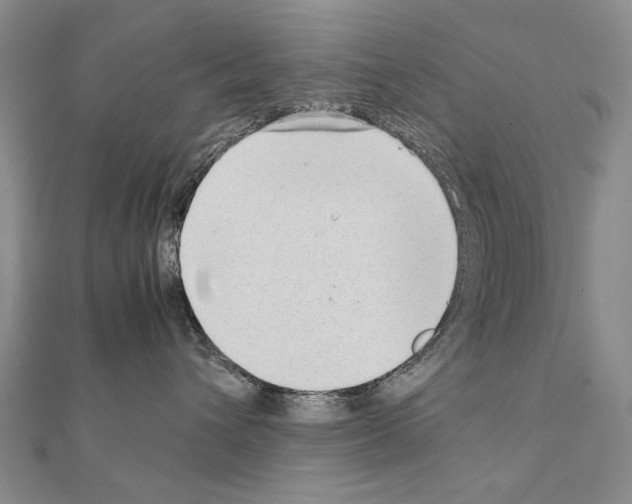 X0000111230432200908131126