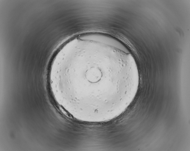X0000111230436200908131126