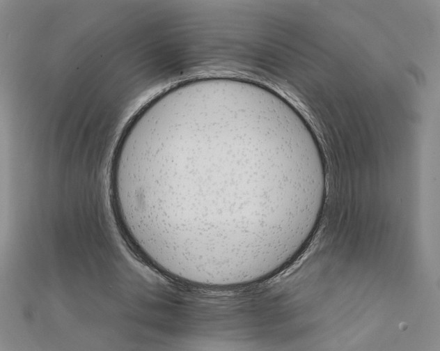 X0000111230438200908131126