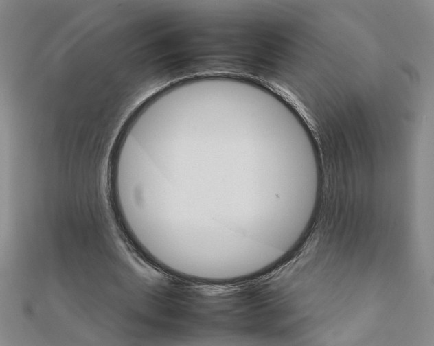 X0000111230439200908131126