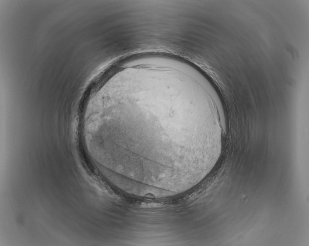 X0000111230440200908131126