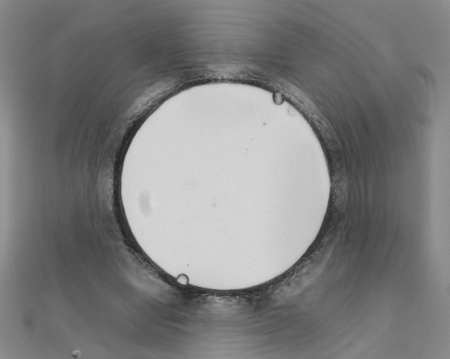 X0000111230442200908131126