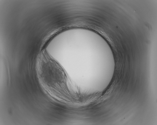X0000111230446200908131126