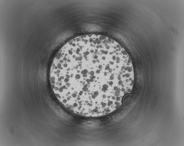 X0000111230447200908131126