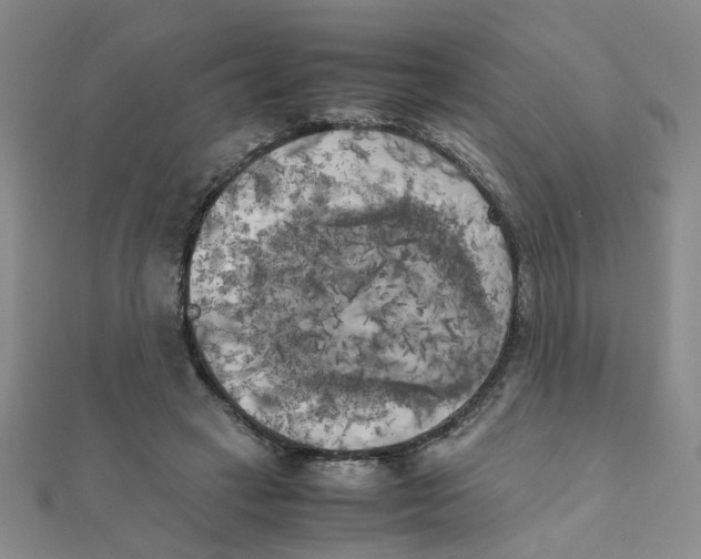 X0000111230449200908131126