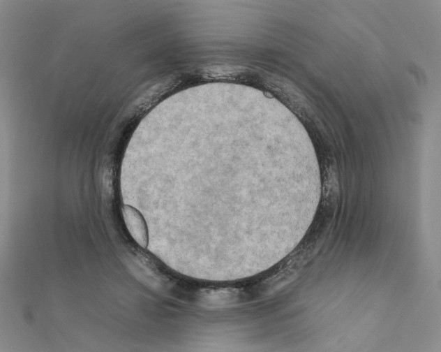 X0000111230452200908131126