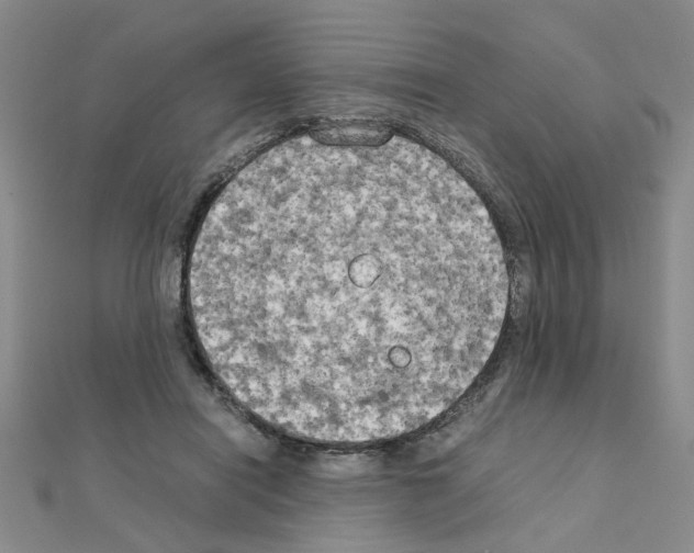 X0000111230454200908131126