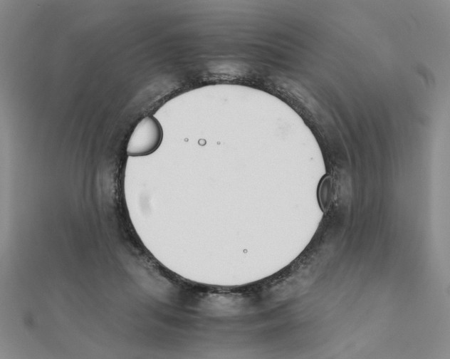 X0000111230455200908131126
