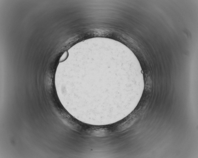 X0000111230456200908131126
