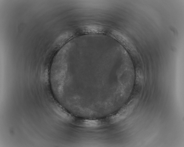 X0000111230457200908131126