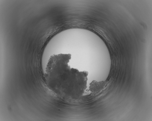 X0000111230458200908131126