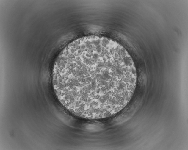 X0000111230459200908131126