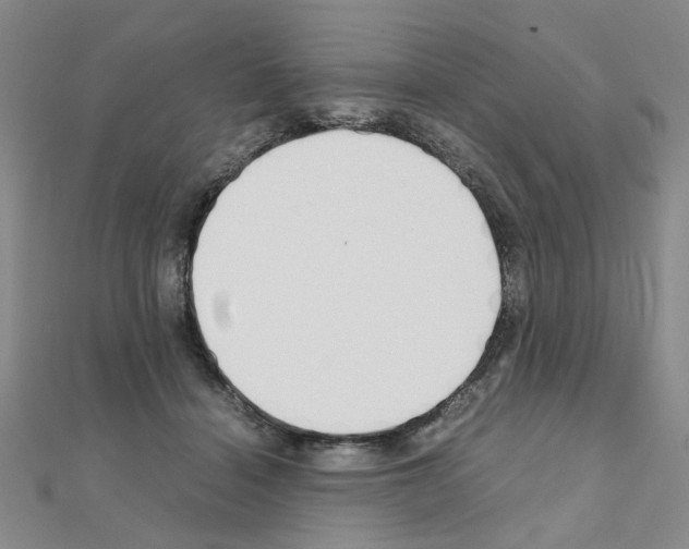 X0000111230460200908131126