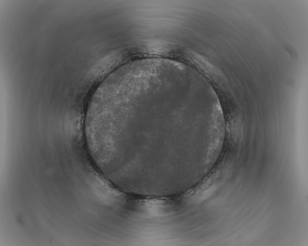 X0000111230462200908131126