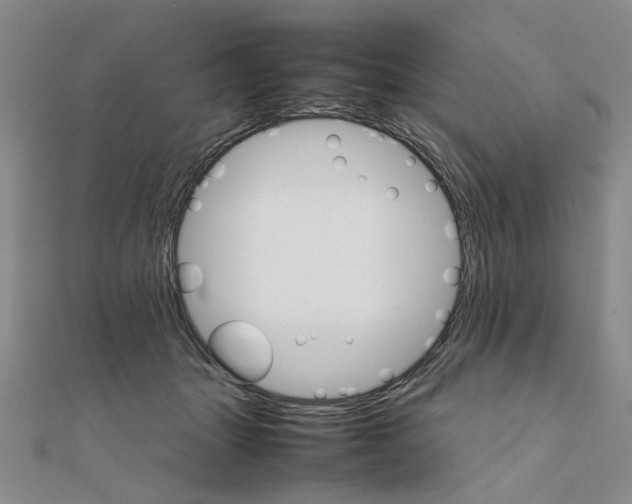 X0000111230463200908131126