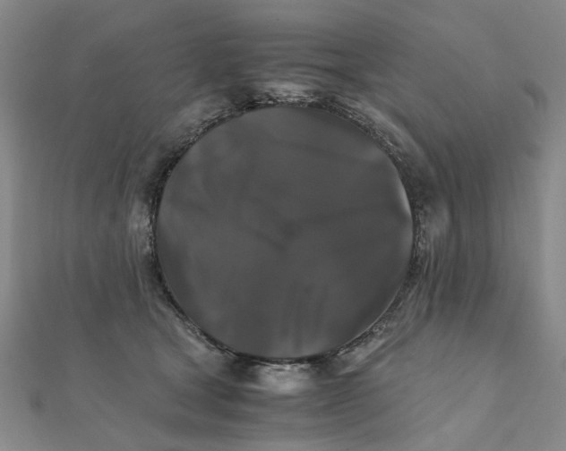 X0000111230465200908131126