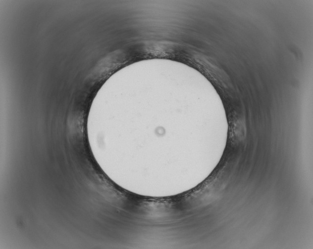 X0000111230466200908131126