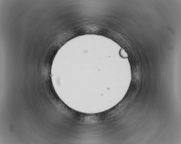 X0000111230468200908131126