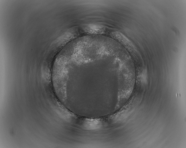 X0000111230469200908131126
