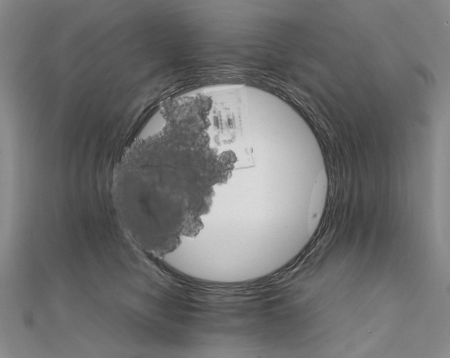 X0000111230470200908131126