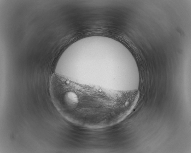 X0000111230471200908131126