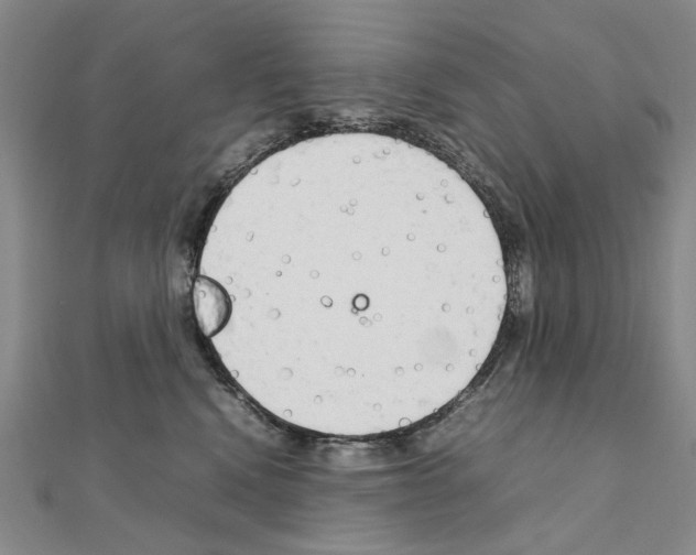 X0000111230472200908131126