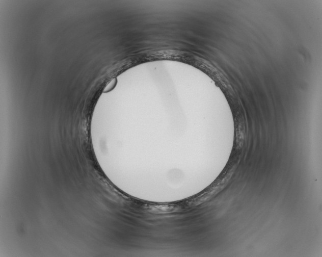 X0000111230473200908131126