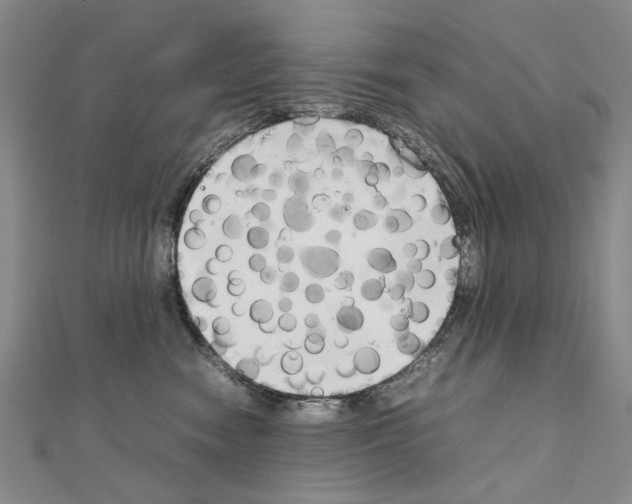 X0000111230474200908131126