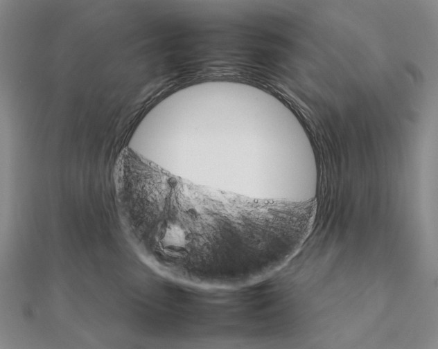 X0000111230475200908131126