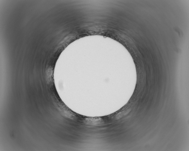 X0000111230480200908131126