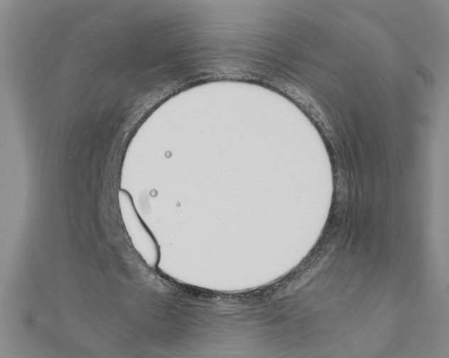 X0000111230481200908131126