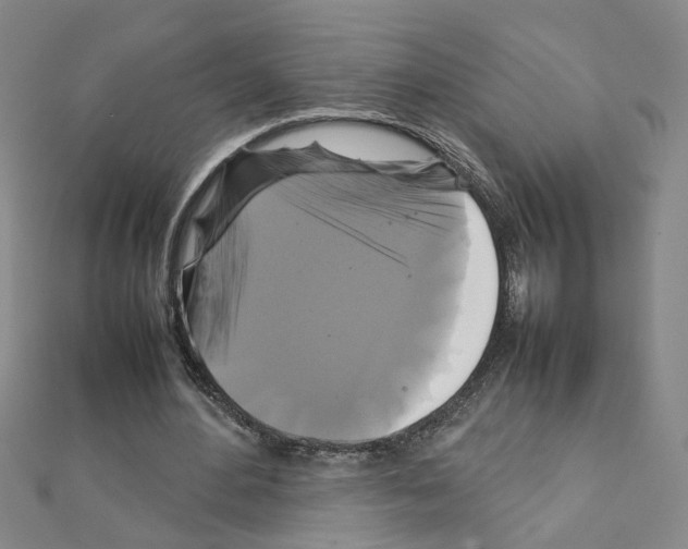 X0000111230484200908131126