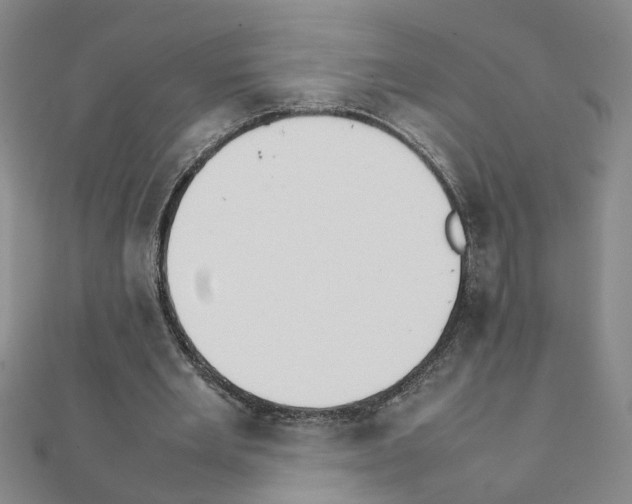 X0000111230485200908131126