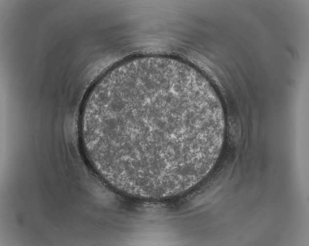 X0000111230487200908131126