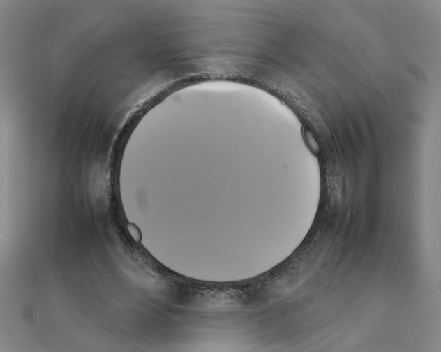 X0000111230488200908131126
