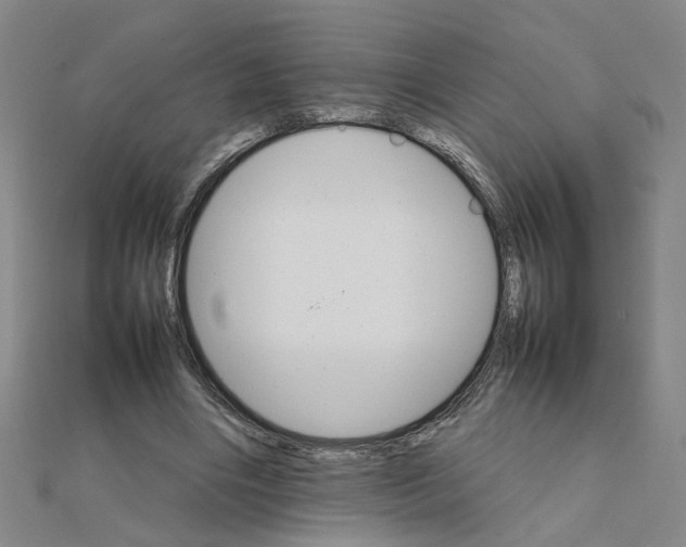 X0000111230490200908131126