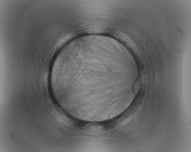 X0000111230491200908131126