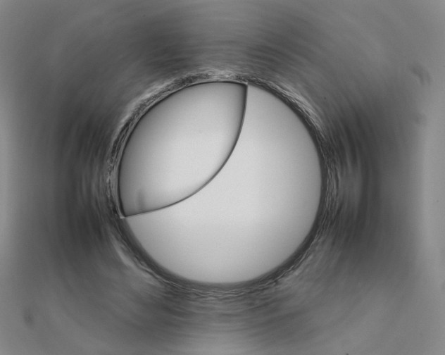 X0000111230492200908131125