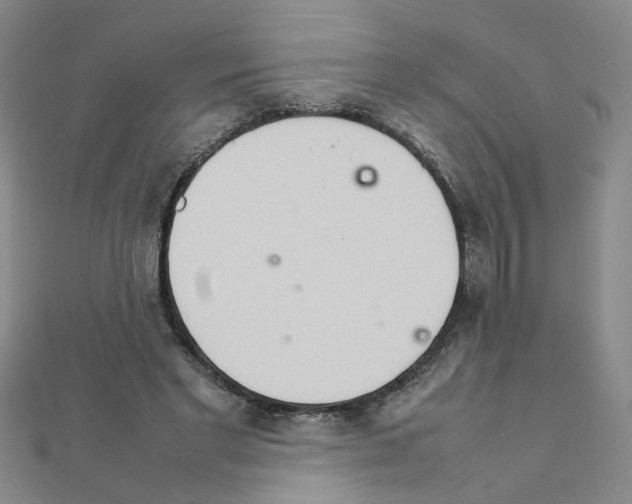 X0000111230493200908131125