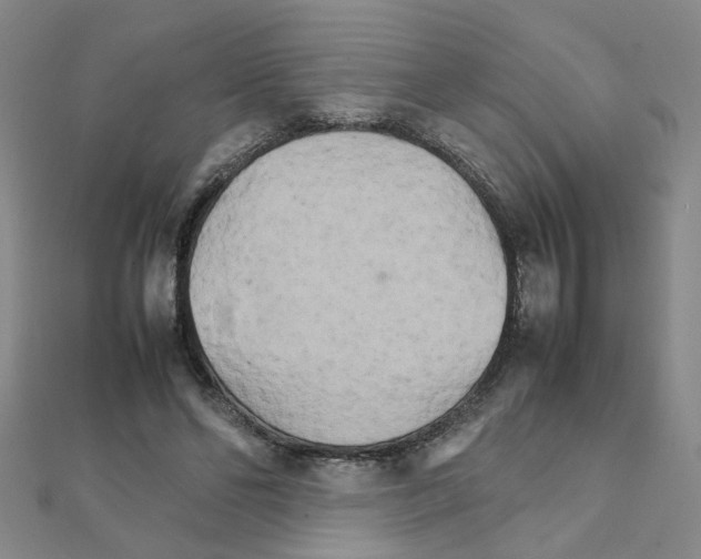 X0000111230494200908131125