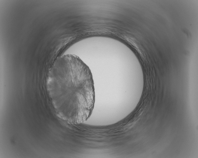 X0000111230495200908131125