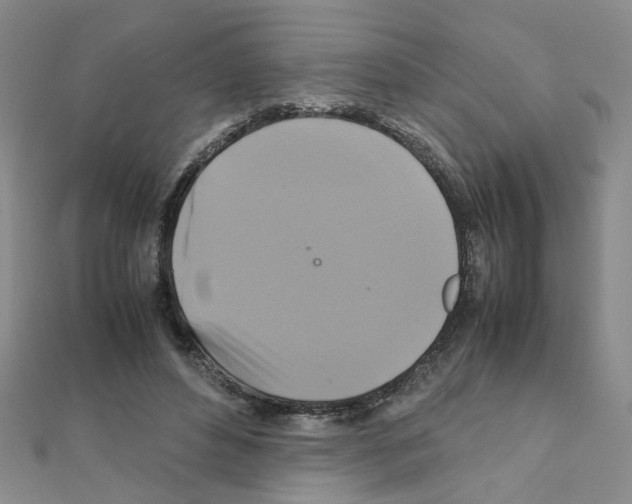 X0000111230496200908131125