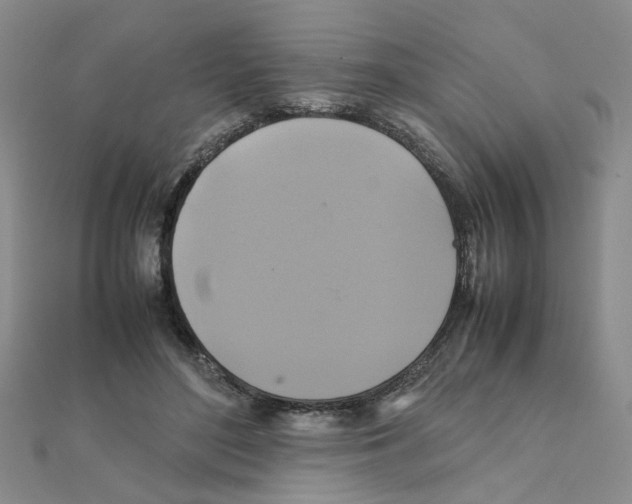 X0000111230500200908131125