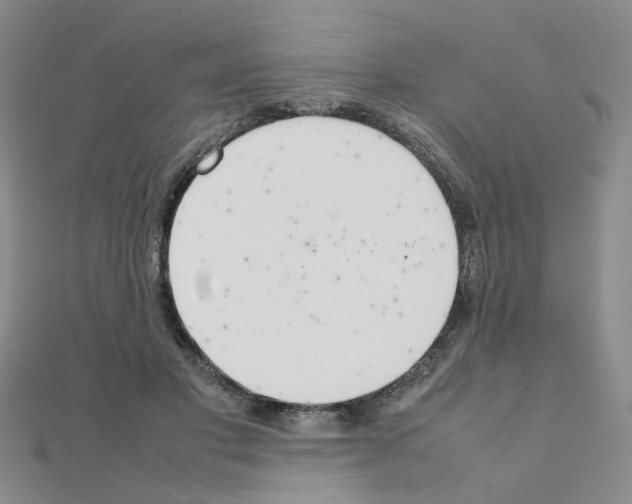 X0000111230501200908131125